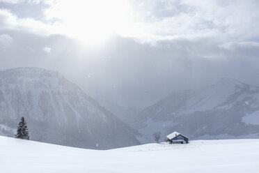 Österreich, Salzburger Land, Osterhorngruppe, Skigebiet, Winterlandschaft im Winter - HAMF00263