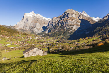 Switzerland, Bern, Bernese Oberland, holiday resort Grindelwald, Wetterhorn, Schreckhorn - WDF04402