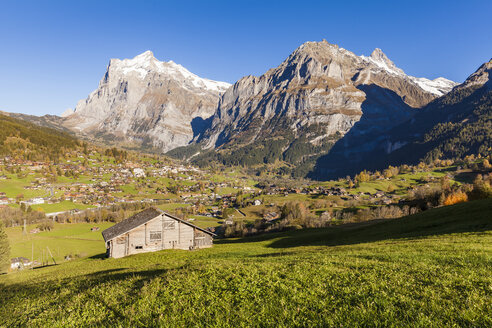 Schweiz, Bern, Berner Oberland, Ferienort Grindelwald, Wetterhorn, Schreckhorn - WDF04402