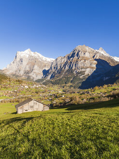 Schweiz, Bern, Berner Oberland, Ferienort Grindelwald, Wetterhorn, Schreckhorn - WDF04403