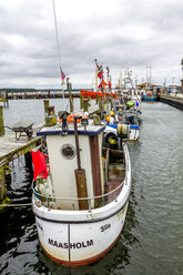 Germany, Schleswig-Holstein, Maasholm, Fishing harbour, fishing boats - PUF01286