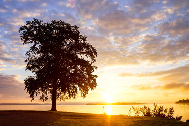 Deutschland, Mecklenburg-Vorpommern, Schwerin, Schweriner See bei Sonnenuntergang - PUF01295