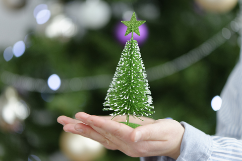 Little boy holding a toy Christmas tree, close up stock photo