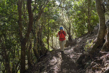 Spain, Canary Islands, La Gomera, Parque Natural de Majona, female hiker in Laurel forest - SIEF07707