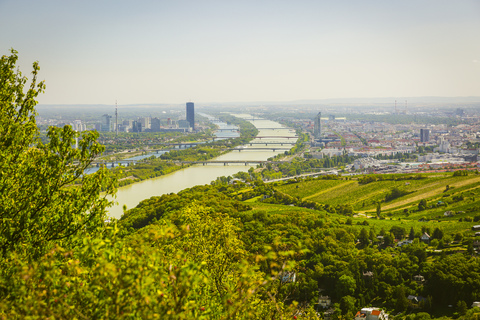 Österreich, Wien mit Donau, Blick vom Leopoldsberg, lizenzfreies Stockfoto