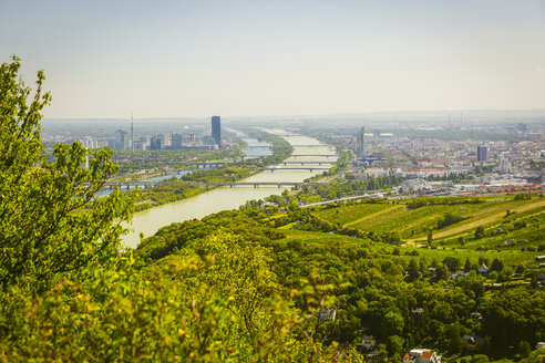 Österreich, Wien mit Donau, Blick vom Leopoldsberg - AIF00442