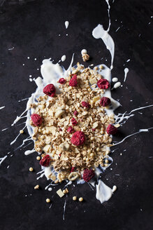 Schoko-Fruchtgranola mit getrockneten Himbeeren auf Joghurtspritzern - CSF28868