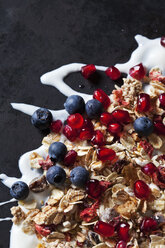 Fruit granola with dried and fresh fruits on yoghurt splash - CSF28870