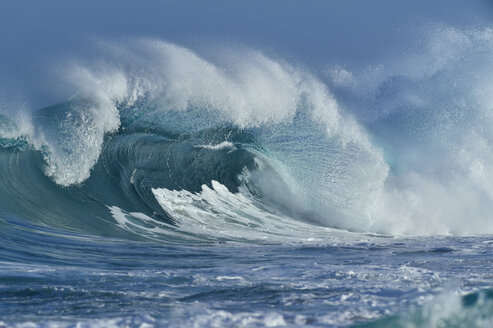 USA, Hawaii, Oahum, Pacific Ocean, big dramatic wave - RUEF01814