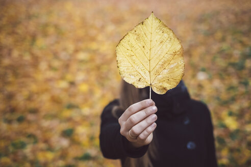 Frauenhand hält gelbes Herbstblatt, Nahaufnahme - JSCF00036