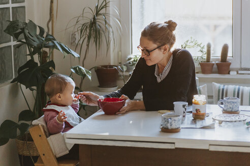 Mother feeding baby in kitchen at home - DWF00327