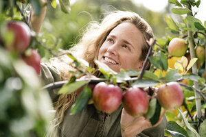 Lächelnde Frau erntet Äpfel vom Baum - PESF00952