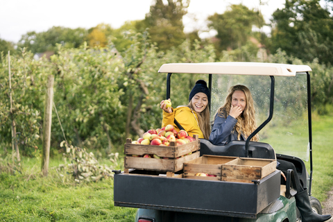 Zwei Frauen mit Fahrzeug beim Ernten von Äpfeln in einem Obstgarten, lizenzfreies Stockfoto