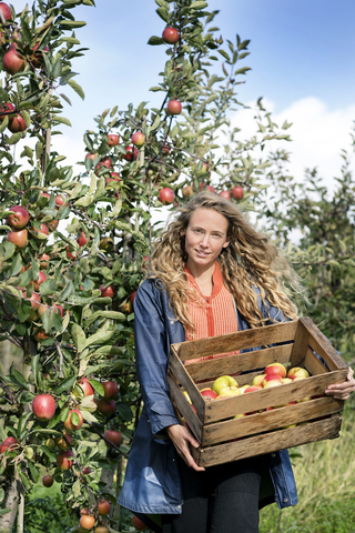 Lächelnde Frau beim Ernten von Äpfeln im Obstgarten, lizenzfreies Stockfoto