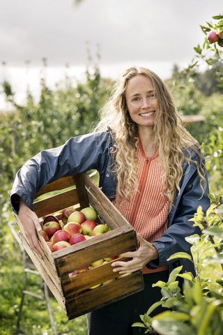 Lächelnde Frau beim Ernten von Äpfeln im Obstgarten, lizenzfreies Stockfoto