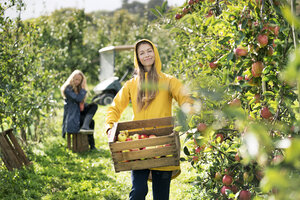 Zwei Frauen ernten Äpfel im Obstgarten - PESF00964
