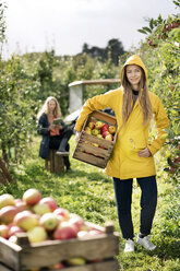 Two women harvesting apples in orchard - PESF00965