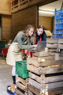 Zwei Frauen benutzen einen Laptop zwischen Kisten auf einem Bauernhof - PESF00977