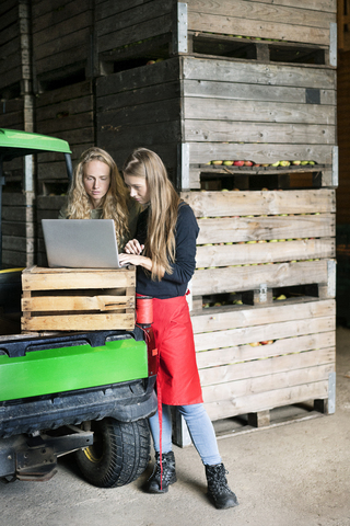 Zwei Frauen benutzen einen Laptop zwischen Kisten auf einem Bauernhof, lizenzfreies Stockfoto