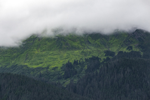 USA, Alaska, Juneau, Auke Bay, Wald und Wolken, lizenzfreies Stockfoto