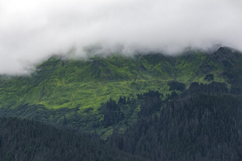 USA, Alaska, Juneau, Auke Bay, Wald und Wolken - MMAF00246