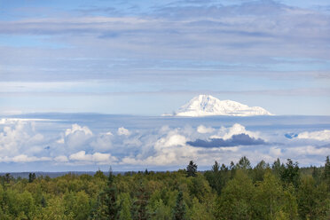 USA, Alaska, Talkeetna, Blick auf den Gipfel des Mount Denali - MMAF00272