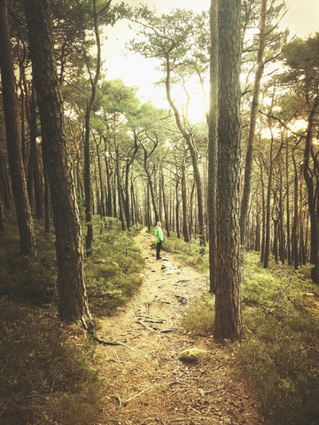 Deutschland, Rheinland-Pfalz, Pfälzerwald, Mann steht auf einem Pfad in einem mystischen, moosbewachsenen Wald, lizenzfreies Stockfoto