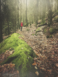 Deutschland, Rheinland-Pfalz, Pfälzerwald, Mann steht auf einem Pfad in einem mystischen, moosbewachsenen Wald - GWF05428