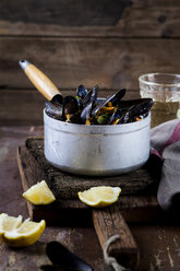 Blue mussels in cooking pot - SBDF03456