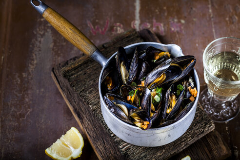 Blue mussels in cooking pot - SBDF03457