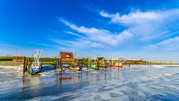 Germany, Lower Saxony, Butjadingen, Fedderwardersiel, harbour, fishing boats in winter - MHF00433