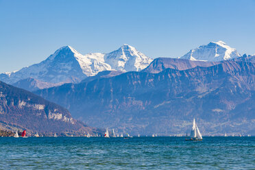 Switzerland, Canton of Bern, Lake Thun and alpine panorama - WDF04423