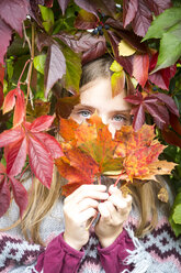 Porträt eines glücklichen Mädchens, das sich hinter Herbstblättern versteckt - SARF03553