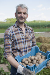 Porträt eines selbstbewussten Mannes, der eine Kiste mit geernteten Kartoffeln im Gemeinschaftsgarten trägt - FSIF00185