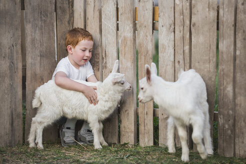 Young boy playing with baby goats in park - FSIF00236