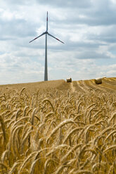 Feldfrüchte und Windmühle auf einem Feld vor bewölktem Himmel - FSIF00311