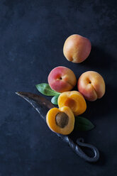 Whole and sliced apricots on dark ground - CSF28891