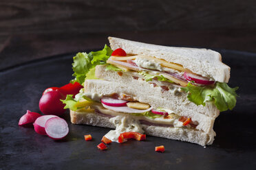 Sandwich with ham and cheese - CSF28896