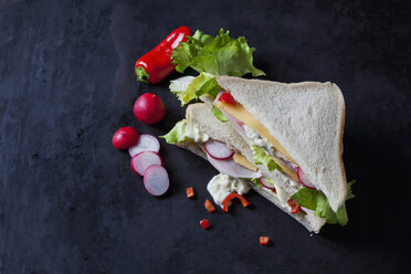 Sandwich with ham and cheese - CSF28897