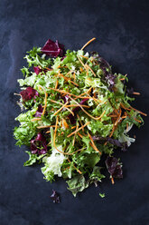 Gemischter Salat mit Kopfsalat, Radicchio und Karotten - CSF28898