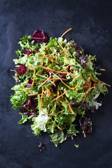 Gemischter Salat mit Kopfsalat, Radicchio und Karotten - CSF28898