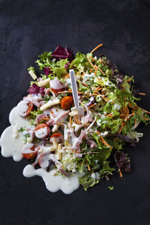 Gemischter Salat mit Kopfsalat, Radicchio, Karotten, Kirschtomaten, rotem Rettich und Naturjoghurtsauce - CSF28899