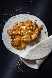 Currygericht mit Chapati - CSF28931