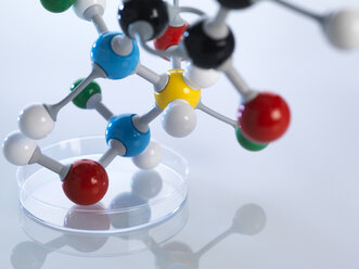 Molekulares Modell in der Petrischale - ABRF00097