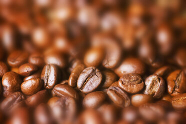 Roasted coffee beans - JTF00909