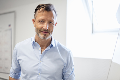 Portrait of smiling mature businessman in office stock photo