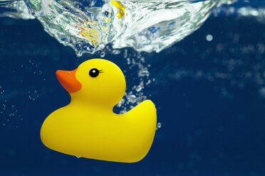 Eine Gummi-Ente unter Wasser - FSIF00352