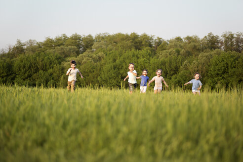 Kinder laufen auf einem Feld - FSIF00452