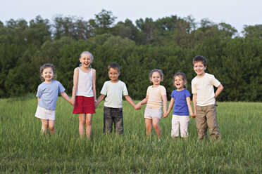 Kinder halten sich an den Händen und stehen auf einem Feld - FSIF00456