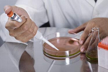 Ein Forscher benutzt eine Pipette in einer Petrischale - FSIF00475